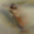 Couple seeking woman