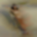 Dalton, Georgia swingers