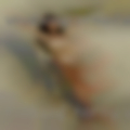 Fucking horny women