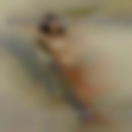 Girls want to fuck in Mesa