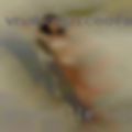 Greenville, swinger clubs