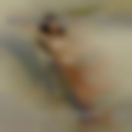 Horny women Goldendale