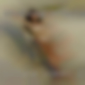 Mature women Illinois