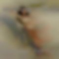 Message horny girls