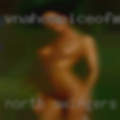 North swingers singles parties