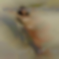 Swingers of-hesperia