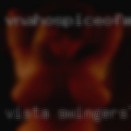 Vista swingers